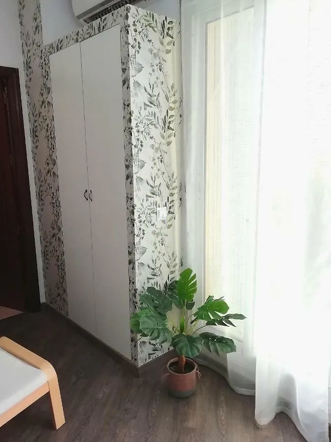 Atico Dos Terrazas Malaga Centro Apartment